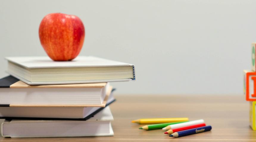 new schools the hague