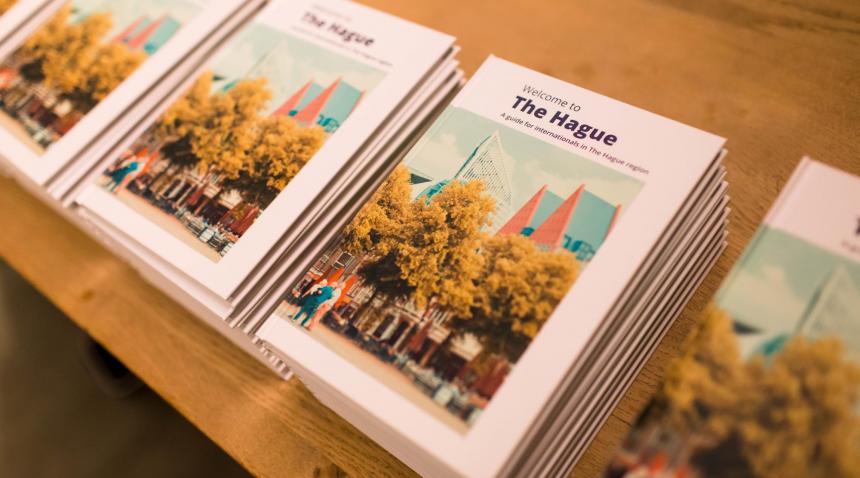 Welcome to The Hague guide