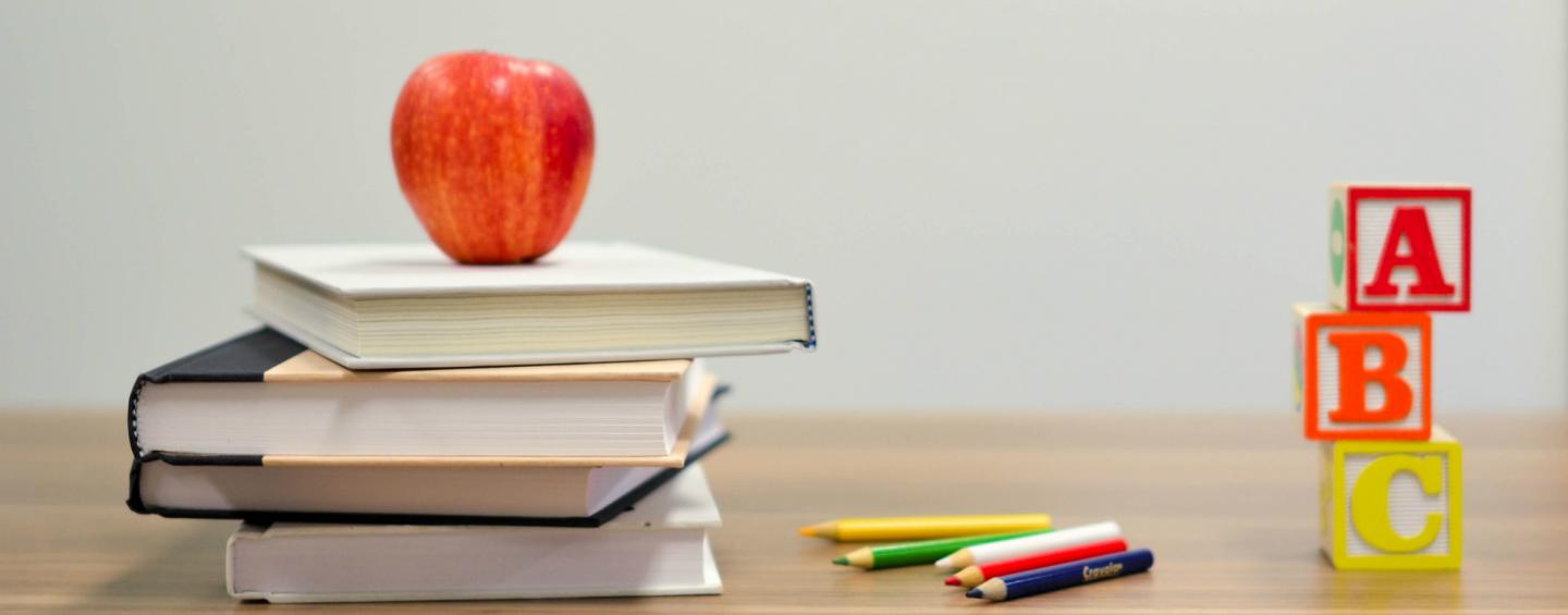 new schools the hague