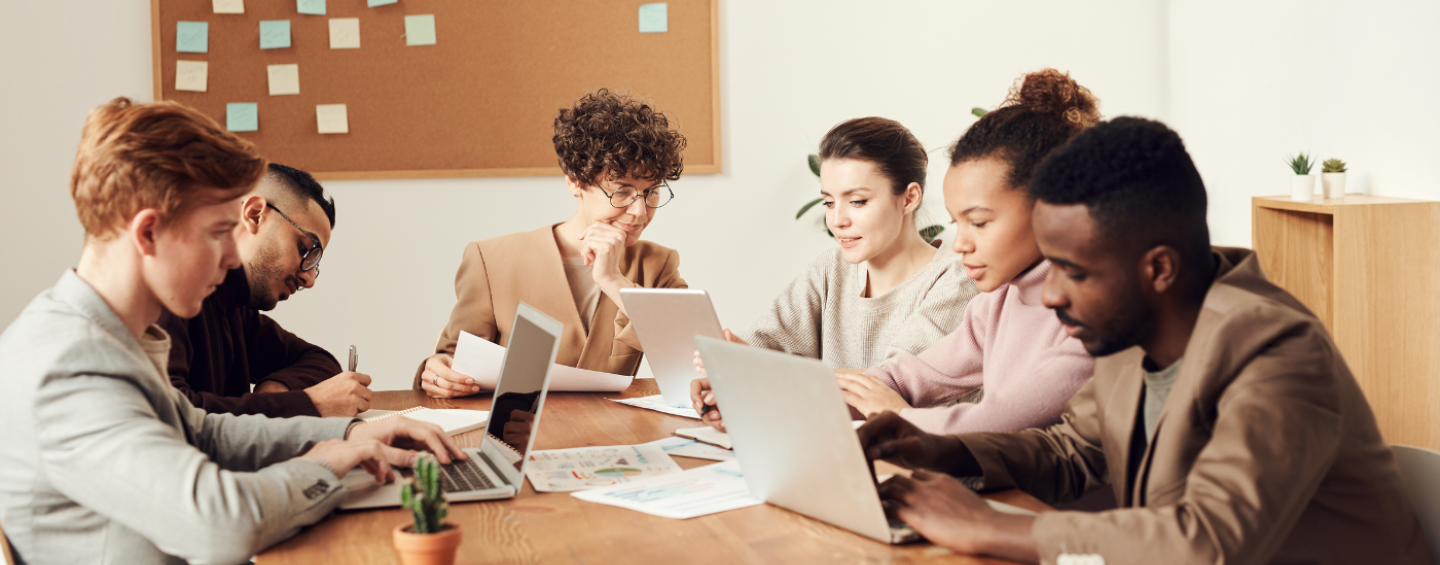 people sitting working on laptops