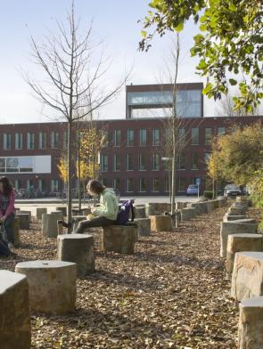 International School The Hague